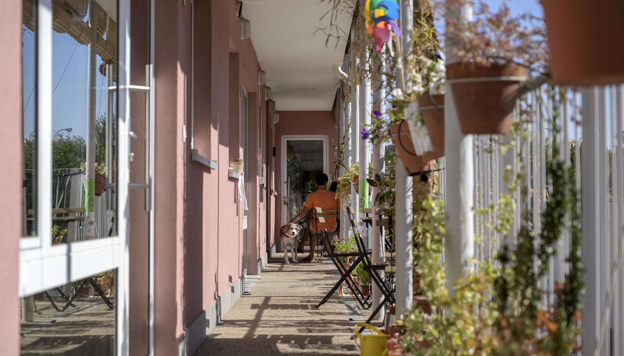 Entrepatios 2021 - 4